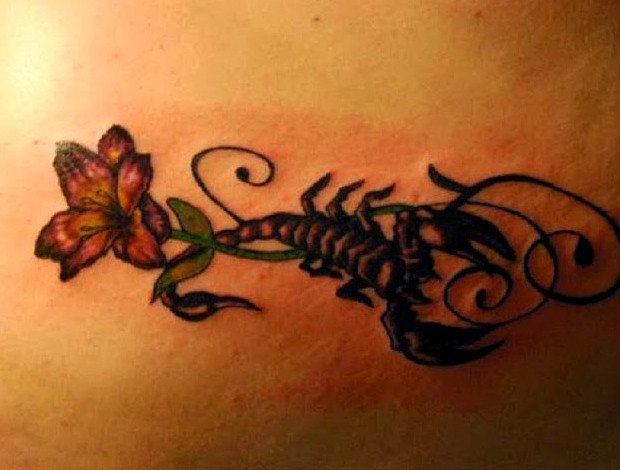  Scorpion tattoos