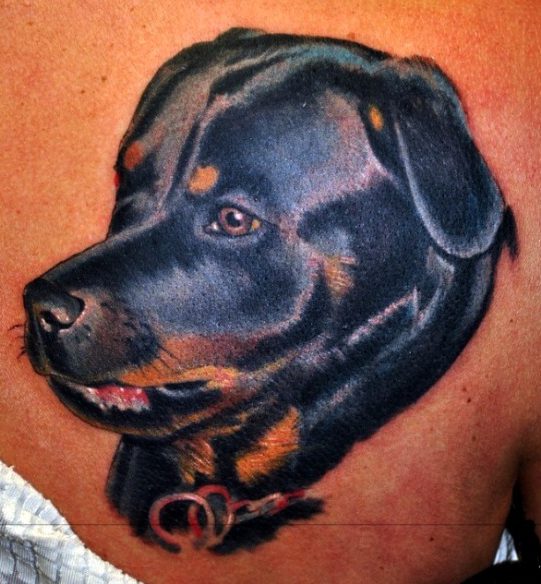 Rottweiler dog tattoos