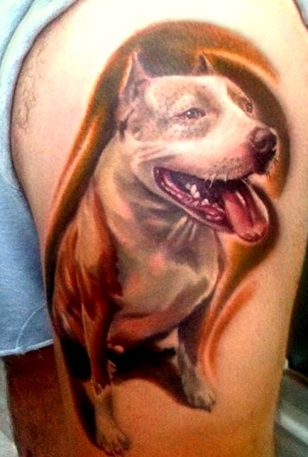 Tattoos of pitbulls